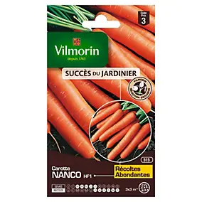 Graines de carotte variété "Nanco HF1" Vilmorin semis de mars à juillet