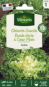 Graines de chicorée scarole variété "Ronde Verte à cœur plein" Vilmorin semis de mai à juillet