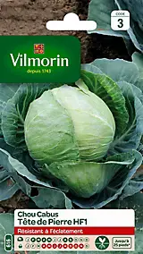 Graines de chou cabus variété "Tête de Pierre HF1" Vilmorin semis de février à mai et d'août à septembre