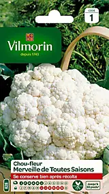 Graines de chou-fleur variété "Merveille de Toutes Saisons" Vilmorin semis de janvier à juin