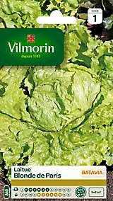 Graines de laitue variété "Batavia blonde de Paris" Vilmorin semis de février à juillet
