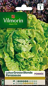 Graines de laitue variété "Grosse blonde paresseuse" Vilmorin semis de février à juillet
