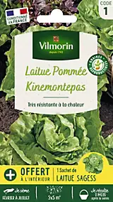 Graines de laitue variété "Kinemontepas" Vilmorin semis de février à juillet
