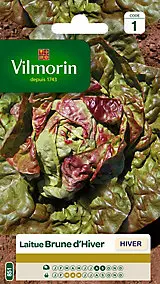Graines de laitue variété "Brune d'hiver" Vilmorin semis de août à septembre