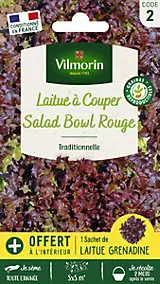 Graines de laitue variété "Red salad bowl" Vilmorin semis toute l'année
