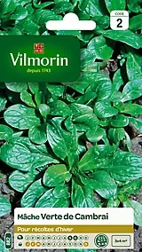 Graines de mâche variété "Verte de Cambrai" Vilmorin semis de septembre à octobre