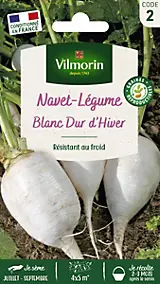 Graines de navet variété "Blanc dur d'hiver" Vilmorin semis de juillet à août