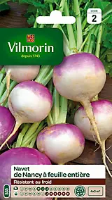 Graines de navet variété "Nancy à feuille entière" Vilmorin semis de mai à juillet