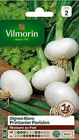 Graines d'oignon blanc variété "Printanier parisien" Vilmorin semis de février à avril et d'août à septembre