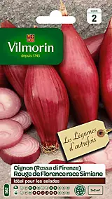 Graines d'oignon rouge variété "Rouge de Florence race simiane" Vilmorin semis de mars à avril et d'août à septembre