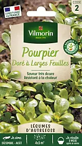 Graines de pourpier variété "Doré à larges feuilles" Vilmorin semis de décembre à mars et de mai à août