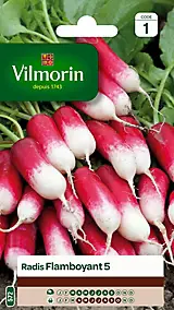 Graines de radis variété "Flamboyant 5" Vilmorin semis de mars à septembre