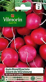 Graines de radis variété "Géant de Wurzbourg" Vilmorin semis d'avril à août