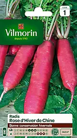 Graines de radis variété "Rose d'hiver de Chine" Vilmorin semis de juin à août