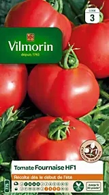 Graines de tomate variété "Fournaise HF1" Vilmorin semis de février à mai