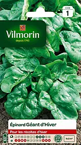 Graines d'épinard variété "Géant d'hiver" Vilmorin semis d'août à octobre