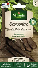 Graines de scorsonère variété "Géante noire de Russie" Vilmorin semis de mars à mai