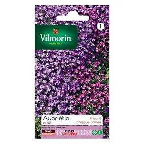 Graines de fleurs Aubriétia Varié Vilmorin