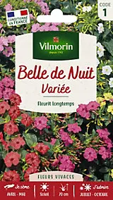 Graines de Belle de Nuit Variée, plante vivaces, Vilmorin