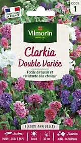 Graines de Clarkia Elégant Double Varié Vilmorin