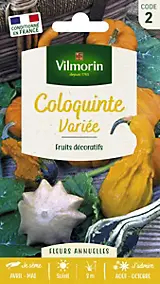 Graines de Coloquinte en Mélange Vilmorin