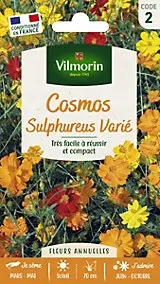 Graines de Cosmos Sulphureus Varié Vilmorin