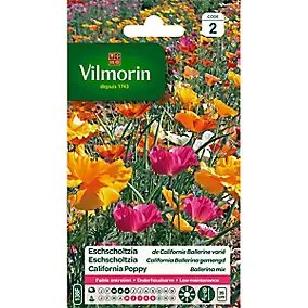 Graines de Eschscholtzia Ballerine varié Vilmorin