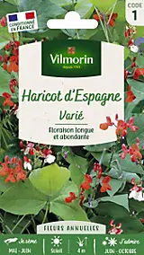 Graines de Haricot d'Espagne varié Vilmorin