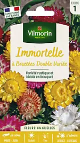 Graines d'immortelle à bractées double Variée Vilmorin