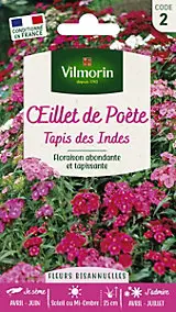 Graines d'Oeillet de Poète Tapis des Indes Vilmorin