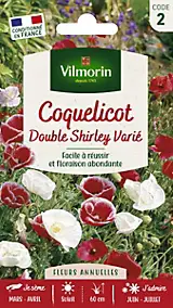 Graines de Pavot Double Shirley Varié Vilmorin