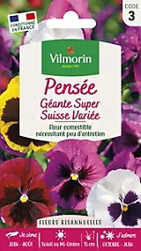 Graines de Pensée Géante Super Suisse Variée Vilmorin