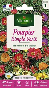 Graines de Pourpier Grande Fleur Simple Varié Vilmorin