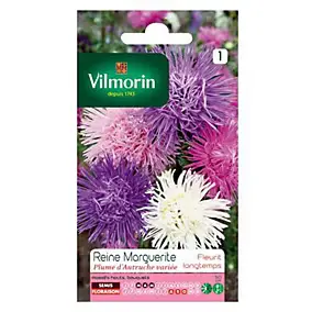 Graines de Reine-Marguerite Plume d'Autruche Variée Vilmorin