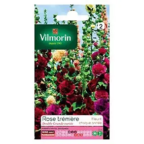 Graines de Rose Trémière Double Grande Variée Vilmorin