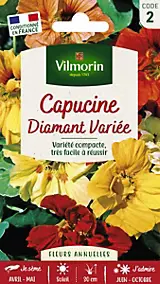 Graines de Capucine Diamant mix Vilmorin