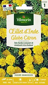 Graines d'Oeillet d'Inde Globe Citron Vilmorin