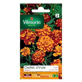 Graines d'Oeillet d'Inde Boléro Vilmorin