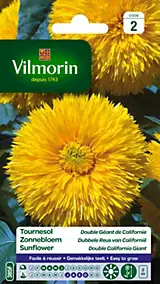 Graines de Soleil Double Géant de Californie Vilmorin