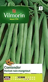 Graines de Haricot nain mangetout Contender