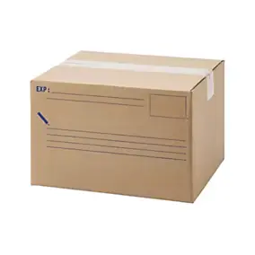 Carton d'expédition 15L L.300X l.250X H.2 mm Mottez