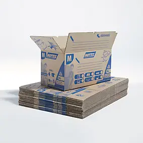 20 Cartons de déménagement avec poignées capacité 54 L, H.30 x L.60 x l.30 cm, Mottez