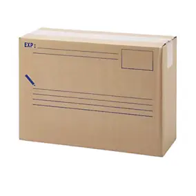 Carton d'expédition 10L L.35X l.12X H.25cm Mottez