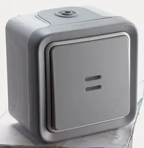 Poussoir lumineux "Plexo" bornes automatiques gris