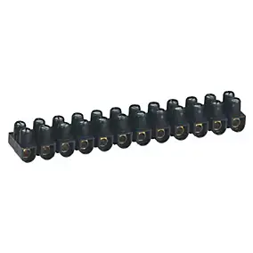 Borne de raccordement Legrand 10 mm²