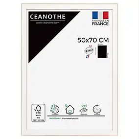 Cadre Newton blanc l.50 x H.70 cm Ceanothe