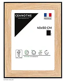 Cadre Newton noir l.40 x H.50 cm Ceanothe