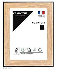 Cadre Newton noir l.50 x H.70 cm Ceanothe