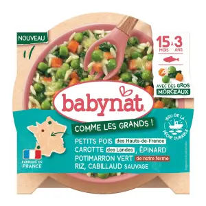 BABYNAT Purée petits pois carotte épinard potimarron dès 15 mois 200g