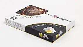 Boîte de 32 blocs allume-feu pour barbecue Somagic